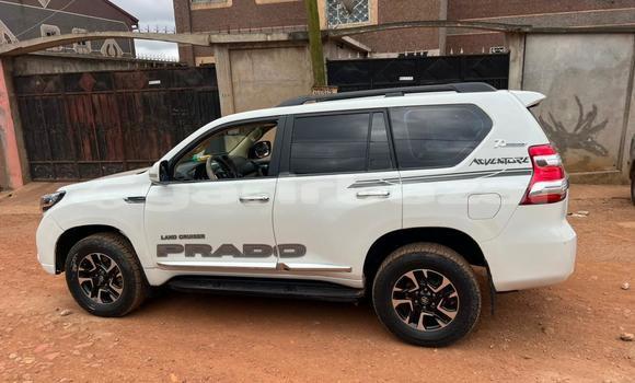Acheter Import Voiture Toyota Prado Blanc à Douala, Littoral Cameroon Acheter Import Voiture Toyota Prado Blanc à Douala, Littoral Cameroon
