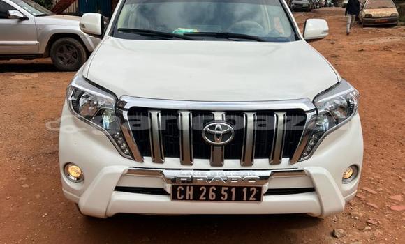 Acheter Import Voiture Toyota Prado Blanc à Douala, Littoral Cameroon Acheter Import Voiture Toyota Prado Blanc à Douala, Littoral Cameroon
