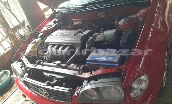 Acheter Occasion Voiture Toyota Corolla Rouge à Yaoundé, Central Cameroon Acheter Occasion Voiture Toyota Corolla Rouge à Yaoundé, Central Cameroon