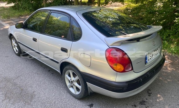 Acheter Occasion Voiture Toyota Corolla Gris à Douala, Littoral Cameroon