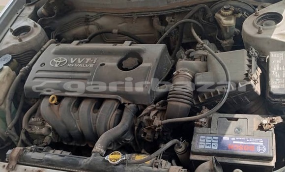 Buy Used Toyota Corolla Silver Car in Douala in Littoral Cameroon Buy Used Toyota Corolla Silver Car in Douala in Littoral Cameroon