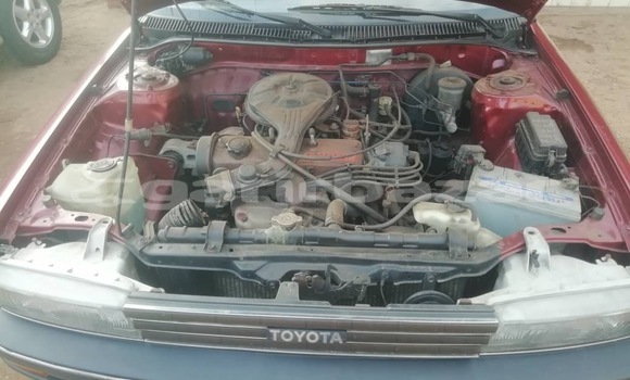 Acheter Occasion Voiture Toyota Corolla Rouge à Yaoundé, Central Cameroon Acheter Occasion Voiture Toyota Corolla Rouge à Yaoundé, Central Cameroon