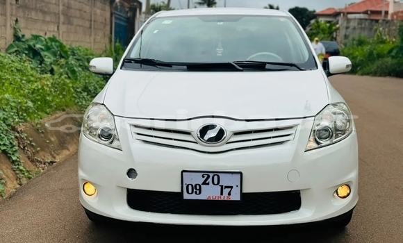 Buy Used Toyota Auris White Car in Yaounde in Central Cameroon