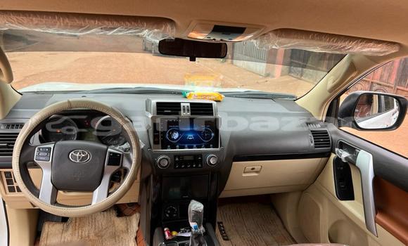 Acheter Import Voiture Toyota Prado Blanc à Douala, Littoral Cameroon Acheter Import Voiture Toyota Prado Blanc à Douala, Littoral Cameroon