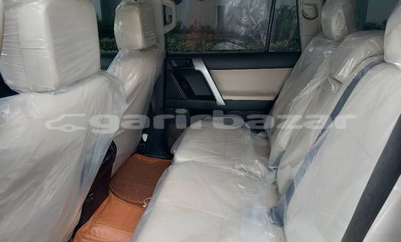 Acheter Import Voiture Toyota Land Cruiser Prado Blanc à Douala, Littoral Cameroon Acheter Import Voiture Toyota Land Cruiser Prado Blanc à Douala, Littoral Cameroon