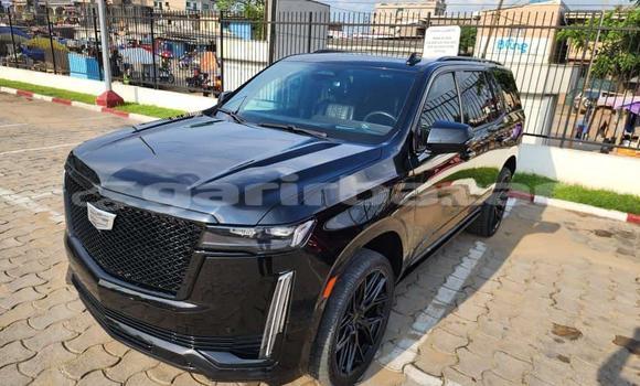 Sayi Imported Cadillac Escalade Black Mota in Douala a Ƙasar Kamaru