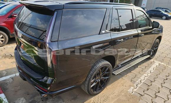 Acheter Import Voiture Cadillac Escalade Noir à Douala, Littoral Cameroon Acheter Import Voiture Cadillac Escalade Noir à Douala, Littoral Cameroon