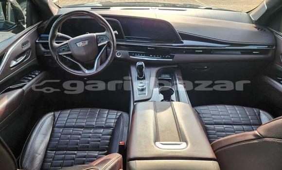 Acheter Import Voiture Cadillac Escalade Noir à Douala, Littoral Cameroon Acheter Import Voiture Cadillac Escalade Noir à Douala, Littoral Cameroon