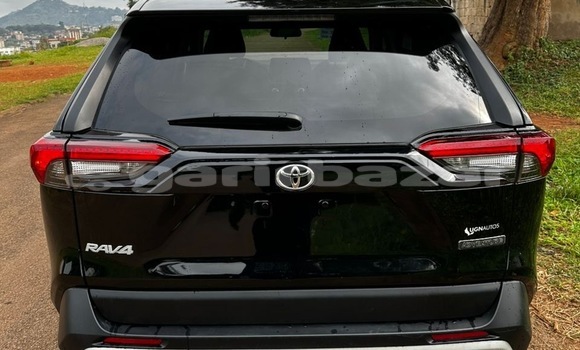 Buy Used Toyota RAV4 Other Car in Yaounde in Central Cameroon Buy Used Toyota RAV4 Other Car in Yaounde in Central Cameroon