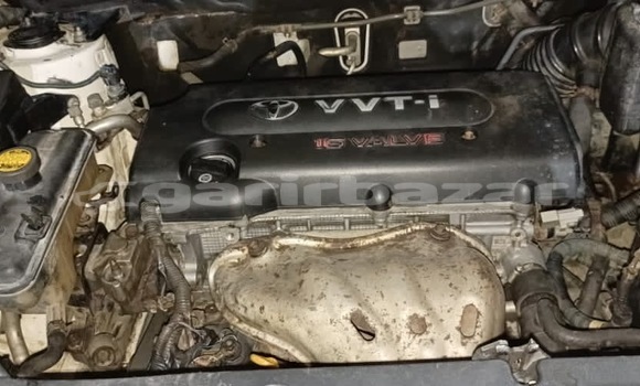 Acheter Occasion Voiture Toyota RAV4 Blanc à Douala, Littoral Cameroon Acheter Occasion Voiture Toyota RAV4 Blanc à Douala, Littoral Cameroon