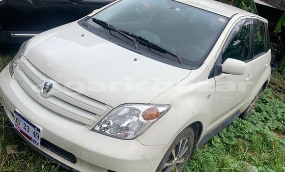 Acheter Occasion Voiture Toyota IST Blanc à Douala, Littoral Cameroon