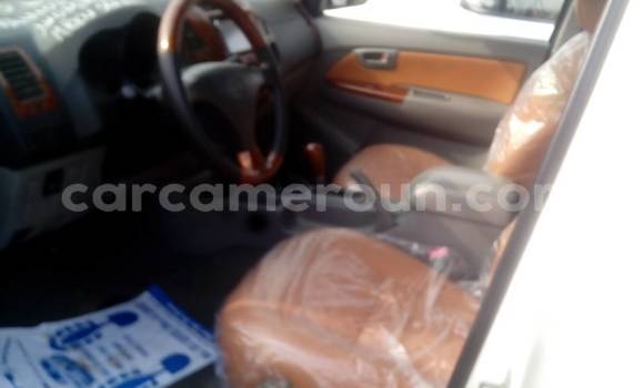 Acheter Occasion Voiture Toyota Hilux Blanc à Yaoundé, Central Cameroon Acheter Occasion Voiture Toyota Hilux Blanc à Yaoundé, Central Cameroon