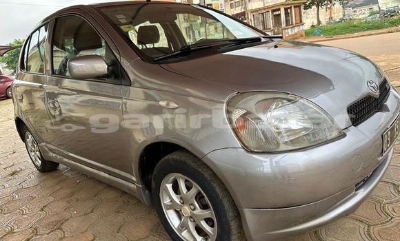 Buy New Toyota Yaris Silver Car in Yaounde in Central Cameroon