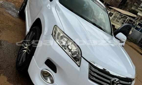 Acheter Occasion Voiture Toyota Vanguard Blanc à Douala, Littoral Cameroon