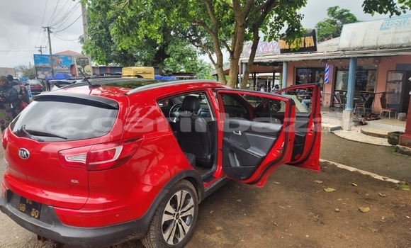 Buy New Kia Sportage Red Car in Douala in Littoral Cameroon Buy New Kia Sportage Red Car in Douala in Littoral Cameroon