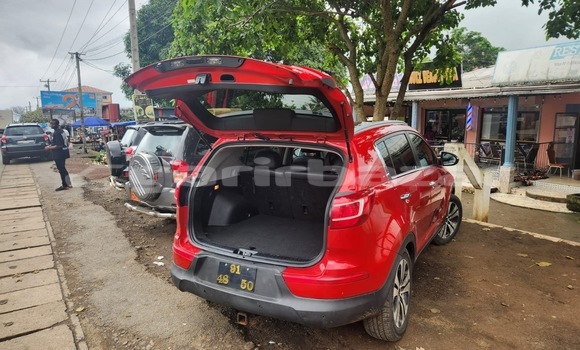 Buy New Kia Sportage Red Car in Douala in Littoral Cameroon Buy New Kia Sportage Red Car in Douala in Littoral Cameroon