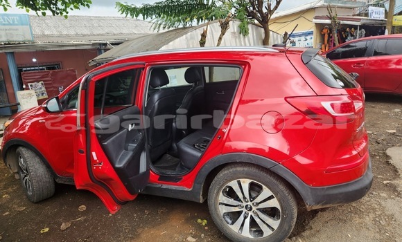 Buy New Kia Sportage Red Car in Douala in Littoral Cameroon Buy New Kia Sportage Red Car in Douala in Littoral Cameroon