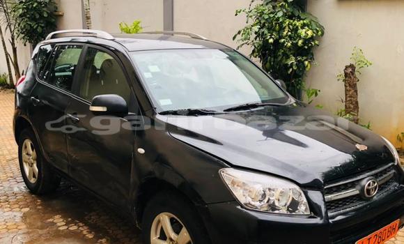 Acheter Occasion Voiture Toyota RAV4 Noir à Yaoundé, Central Cameroon Acheter Occasion Voiture Toyota RAV4 Noir à Yaoundé, Central Cameroon