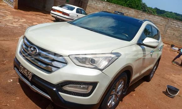Sayi Imported Hyundai Santa Fe M Mota in Douala a Ƙasar Kamaru