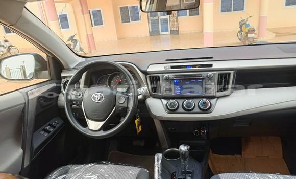 Acheter Import Voiture Toyota RAV4 Gris à Douala, Littoral Cameroon Acheter Import Voiture Toyota RAV4 Gris à Douala, Littoral Cameroon