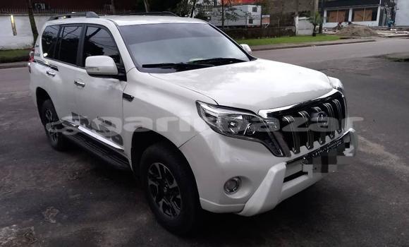 Buy Import Toyota Land Cruiser Prado White Car in Douala in Littoral Cameroon