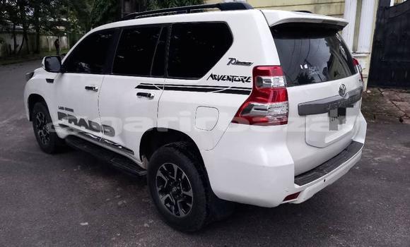Acheter Import Voiture Toyota Land Cruiser Prado Blanc à Douala, Littoral Cameroon Acheter Import Voiture Toyota Land Cruiser Prado Blanc à Douala, Littoral Cameroon