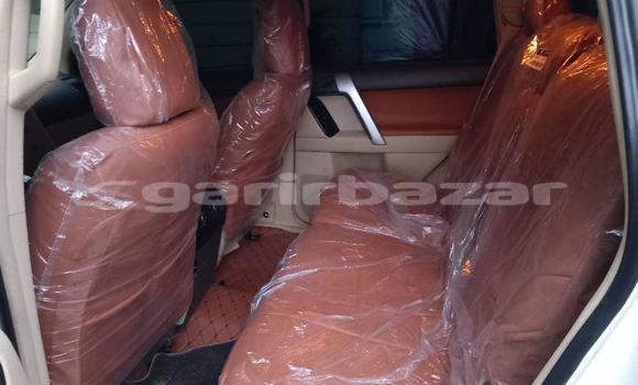 Acheter Import Voiture Toyota Land Cruiser Prado Blanc à Douala, Littoral Cameroon Acheter Import Voiture Toyota Land Cruiser Prado Blanc à Douala, Littoral Cameroon