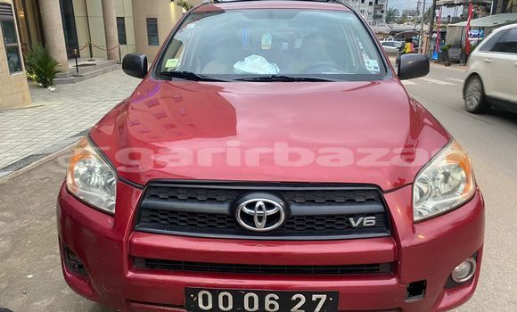 Buy Import Toyota RAV4 Red Car in Douala in Littoral Cameroon