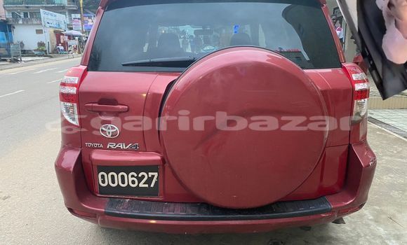Buy Import Toyota RAV4 Red Car in Douala in Littoral Cameroon Buy Import Toyota RAV4 Red Car in Douala in Littoral Cameroon
