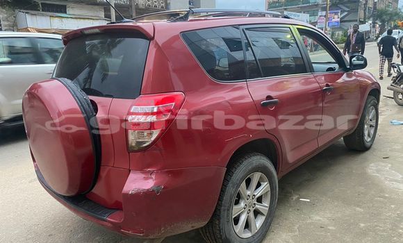 Buy Import Toyota RAV4 Red Car in Douala in Littoral Cameroon Buy Import Toyota RAV4 Red Car in Douala in Littoral Cameroon