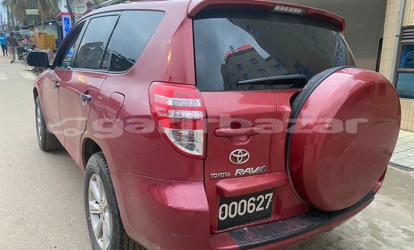 Buy Import Toyota RAV4 Red Car in Douala in Littoral Cameroon Buy Import Toyota RAV4 Red Car in Douala in Littoral Cameroon