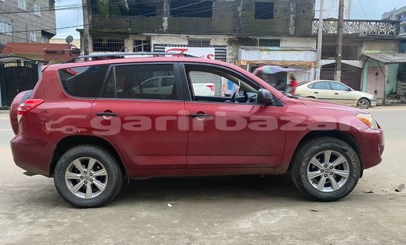 Buy Import Toyota RAV4 Red Car in Douala in Littoral Cameroon Buy Import Toyota RAV4 Red Car in Douala in Littoral Cameroon