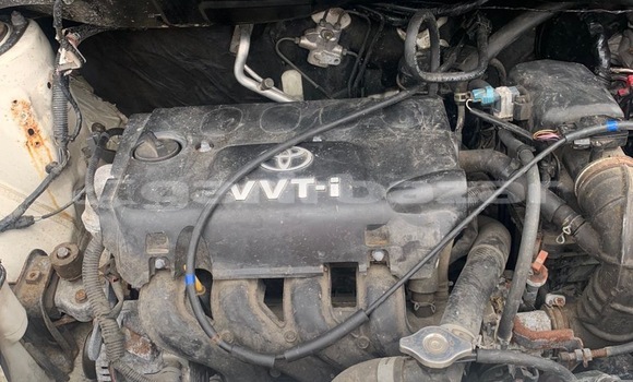 Buy Import Toyota IST White Car in Douala in Littoral Cameroon Buy Import Toyota IST White Car in Douala in Littoral Cameroon