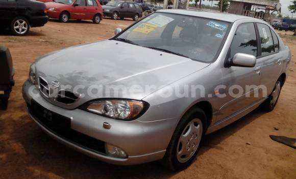 Acheter Occasion Voiture Nissan Primera Gris à Yaoundé au Central Cameroon Acheter Occasion Voiture Nissan Primera Gris à Yaoundé au Central Cameroon