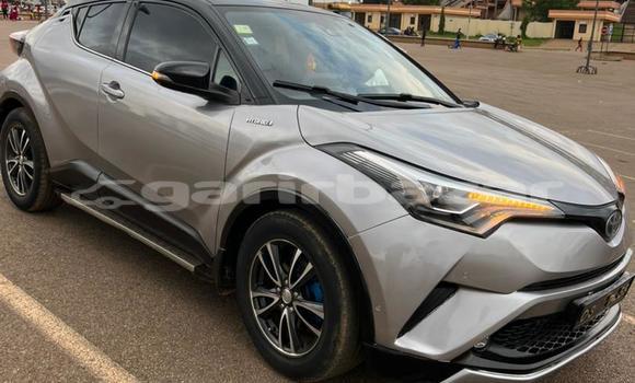 Acheter Occasion Voiture Toyota C-HR Gris à Yaoundé, Central Cameroon Acheter Occasion Voiture Toyota C-HR Gris à Yaoundé, Central Cameroon