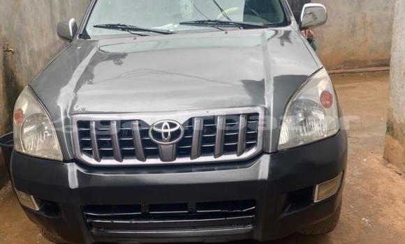 Buy Used Toyota Prado Silver Car in Yaounde in Central Cameroon