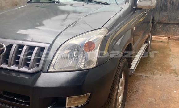 Buy Used Toyota Prado Silver Car in Yaounde in Central Cameroon Buy Used Toyota Prado Silver Car in Yaounde in Central Cameroon