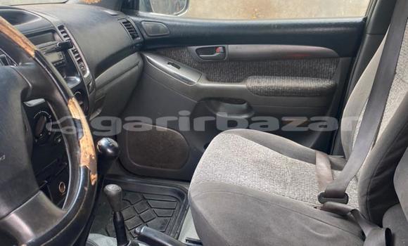 Buy Used Toyota Prado Silver Car in Yaounde in Central Cameroon Buy Used Toyota Prado Silver Car in Yaounde in Central Cameroon