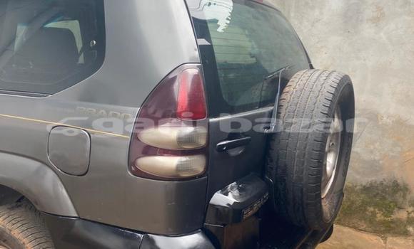 Buy Used Toyota Prado Silver Car in Yaounde in Central Cameroon Buy Used Toyota Prado Silver Car in Yaounde in Central Cameroon