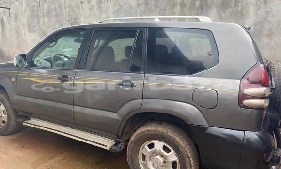 Buy Used Toyota Prado Silver Car in Yaounde in Central Cameroon Buy Used Toyota Prado Silver Car in Yaounde in Central Cameroon