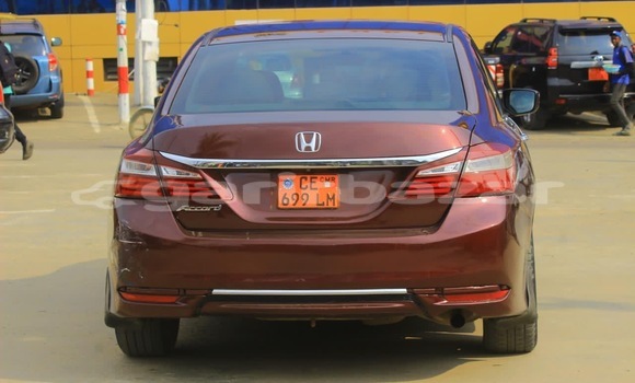 Buy Used Honda Accord Red Car in Douala in Littoral Cameroon