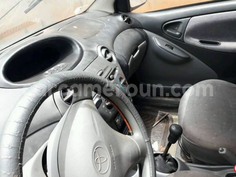 Big with watermark 25348502 1436706549791047 3015609493847363516 n