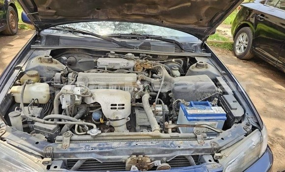 Acheter Neuf Voiture Toyota Camry Bleu à Yaoundé, Central Cameroon Acheter Neuf Voiture Toyota Camry Bleu à Yaoundé, Central Cameroon