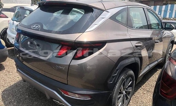 Acheter Neuf Voiture Hyundai Tucson Autre à Yaoundé, Central Cameroon Acheter Neuf Voiture Hyundai Tucson Autre à Yaoundé, Central Cameroon