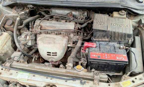 Buy Used Toyota Picnic Silver Car in Yaounde in Central Cameroon Buy Used Toyota Picnic Silver Car in Yaounde in Central Cameroon
