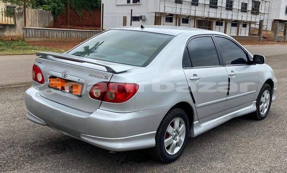 Acheter Occasion Voiture Toyota Corolla Autre à Douala, Littoral Cameroon