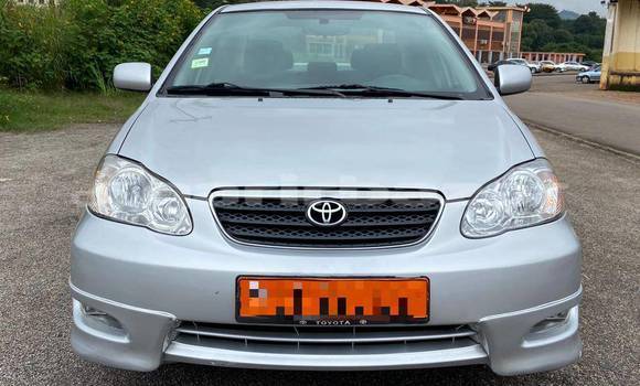 Sayi Na hannu Toyota Corolla Sauran Mota in Douala a Ƙasar Kamaru Sayi Na hannu Toyota Corolla Sauran Mota in Douala a Ƙasar Kamaru