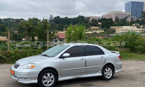 Sayi Na hannu Toyota Corolla Sauran Mota in Douala a Ƙasar Kamaru Sayi Na hannu Toyota Corolla Sauran Mota in Douala a Ƙasar Kamaru