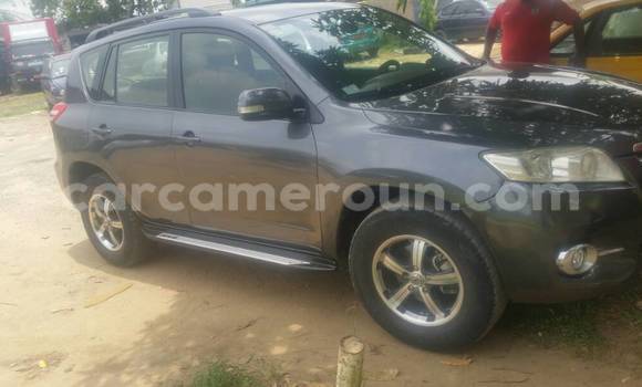 Acheter Occasion Voiture Toyota RAV4 Gris à Douala au Littoral Cameroon Acheter Occasion Voiture Toyota RAV4 Gris à Douala au Littoral Cameroon