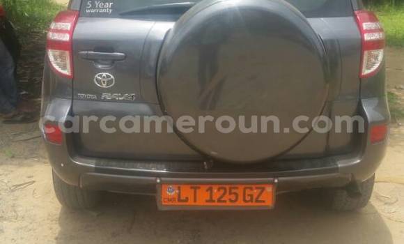 Acheter Occasion Voiture Toyota RAV4 Gris à Douala, Littoral Cameroon Acheter Occasion Voiture Toyota RAV4 Gris à Douala, Littoral Cameroon